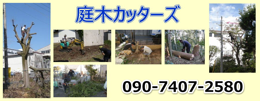 庭木カッターズ | 熊谷市の庭木の伐採を承ります。